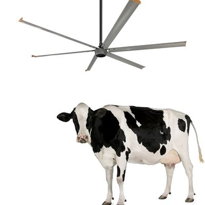 Ventilador de teto para o canteiro de obras Ventilação de 3,6 m Ventilador HVLS de alto volume 1500W 220V 10ft