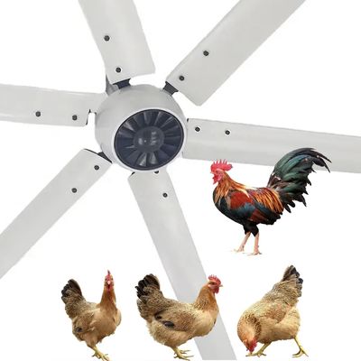 Silêncio 1.5kW 24FT HVLS de alta velocidade Ventilador de teto elétrico industrial grande com motor PMSM
