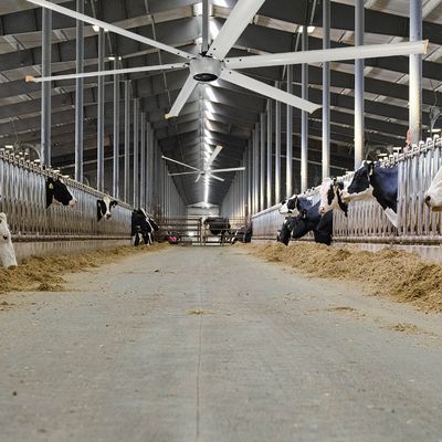 Silêncio 1.5kW 24FT HVLS de alta velocidade Ventilador de teto elétrico industrial grande com motor PMSM