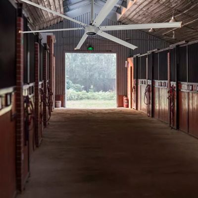 Imã permanente sincrono 220v 380v HVLS Ventiladores para Estufas 14ft 16ft 7.3m Refrigeração