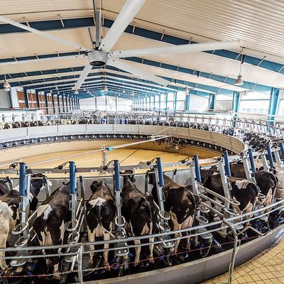 Ventilador elétrico HVLS síncrono de ímã permanente para alimentação de 220V/380V por AMCLING