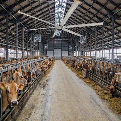 Motor de ventilador HVLS de 1300W para arrefecimento e ventilação em grandes espaços industriais de teto